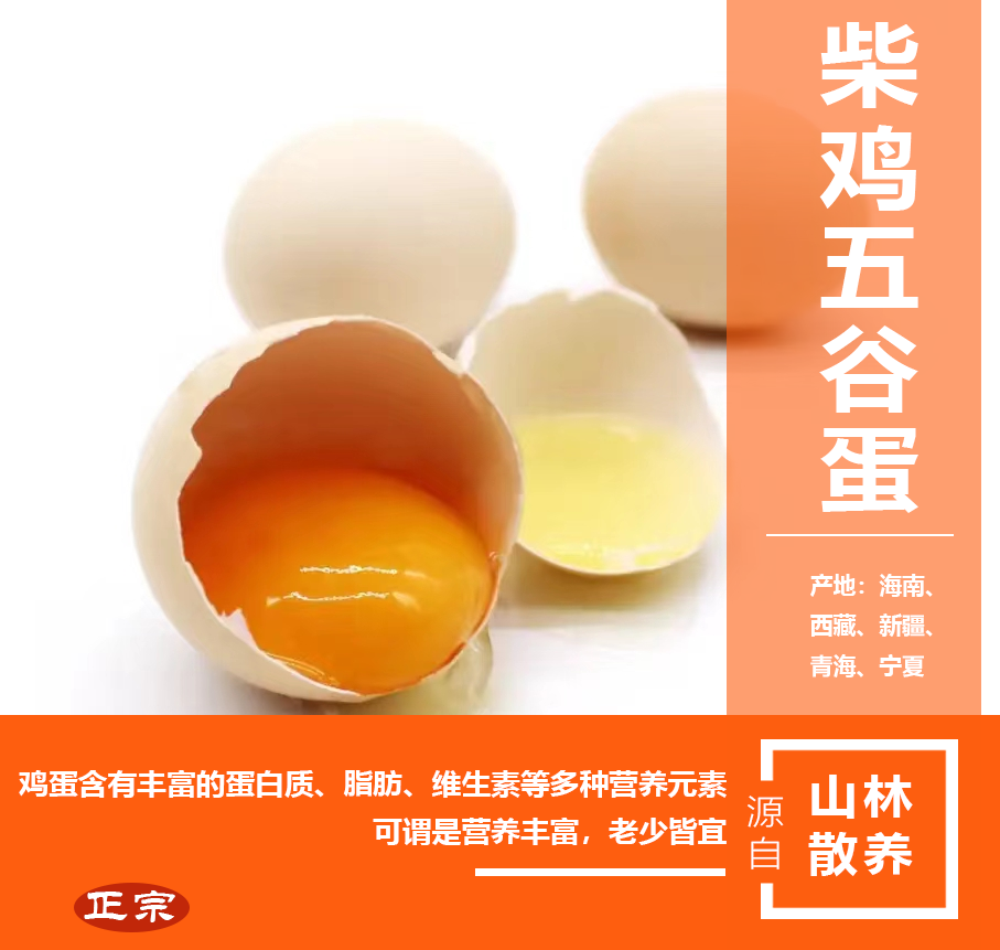 柴雞五谷蛋原產(chǎn)地直供