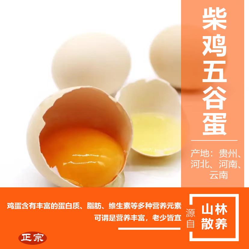 自家山林散養(yǎng)柴雞五谷蛋，小時候的